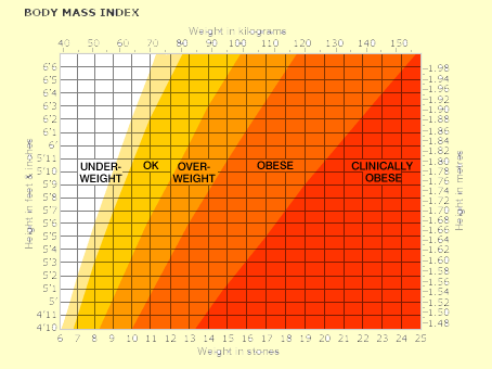 Visual image of the Body Mass Indicator Chart